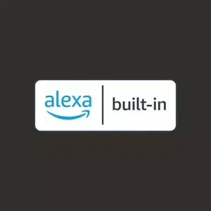 Ask your voice assistant