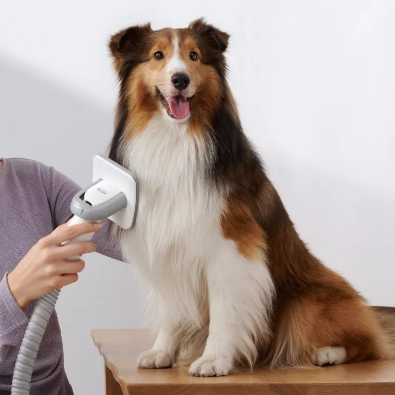 Vacuum Cleaner | DREAME | Mova G1 Pro Pet Grooming Kit | Dust capacity 1 L | Cleaning type Dry | Colour White | PHC10A