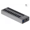 DeLOCK External 5 Gbps USB Hub with 10 Ports + Switch