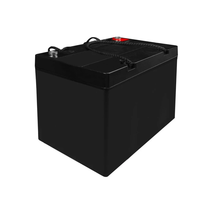 Battery AGM VRLA 12V 55Ah IP54