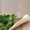 Seed tape Apte Pietruszka Alba 6 m — medium‑late parsley variety for processing