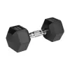 Rubberized cast iron dumbbells HEX 2x10 kg REBEL ACTIVE