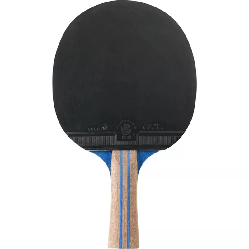 Table tennis set HUDORA Match for 2 players — portable table tennis and fitness equipment