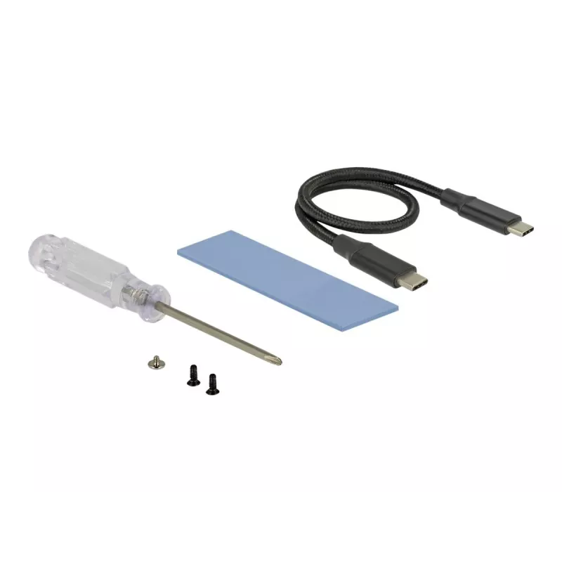 Interface Card DeLOCK 42600 USB 3.2 Gen 1