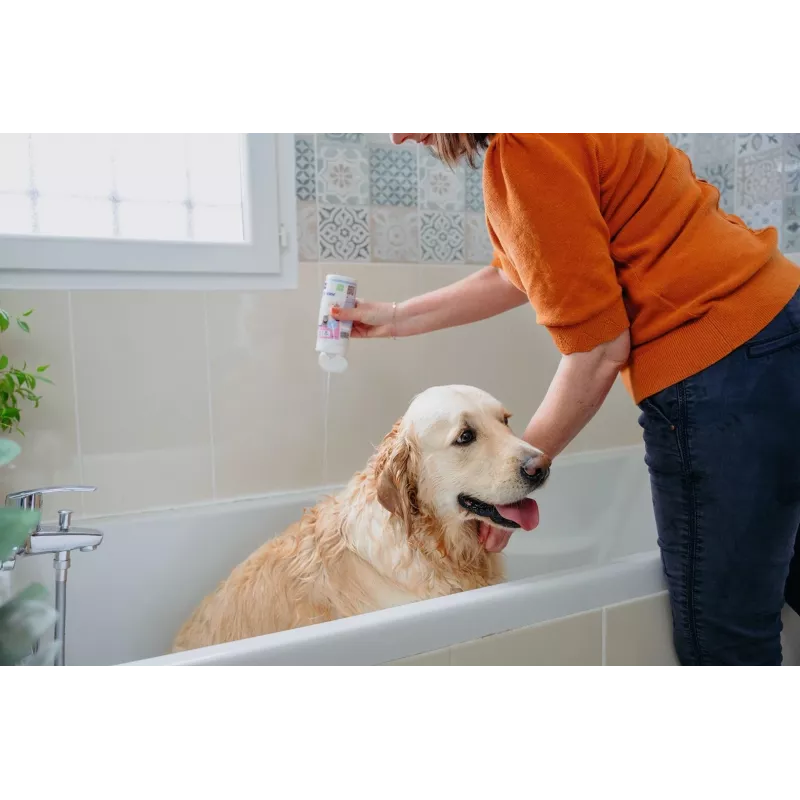 VIRBAC AllerDerm shampoo for sensitive skin of dogs and cats 250 ml