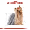 Royal Canin Yorkshire Terrier Adult 85 g