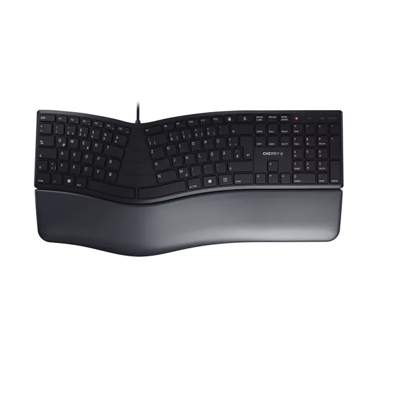 CHERRY KC 4500 keyboard Office USB Black