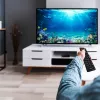 Digital TV tuner MANTA DVBT005-SH DVB-T/T2 HEVC support