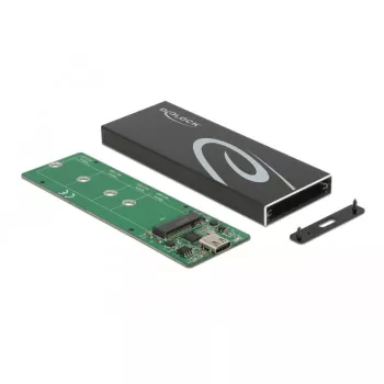 SSD enclosure DeLOCK 42003 External Enclosure for M.2 SATA SSD with USB Type-C
