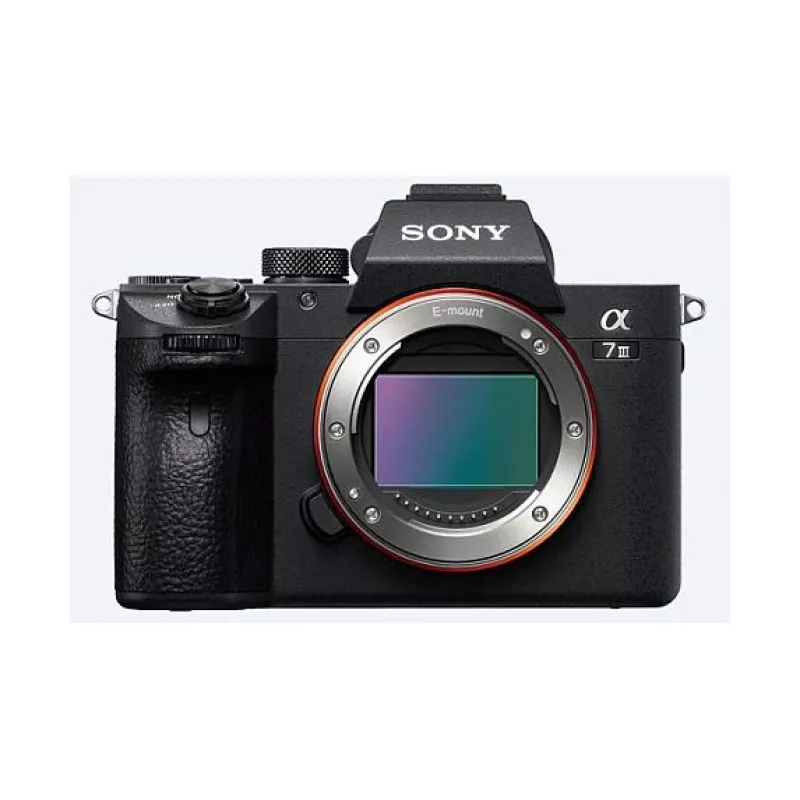 Sony α 7 III + 28-70mm MILC 24.2 MP CMOS 6000 x 4000 pixels Black