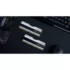 DIMM 32 GB DDR5-6000 (2x 16 GB) Dual-Kit, Arbeitsspeicher silber, F5-6000J3636F16GX2-TZ5RS, Trident Z5 RGB, INTEL XMP