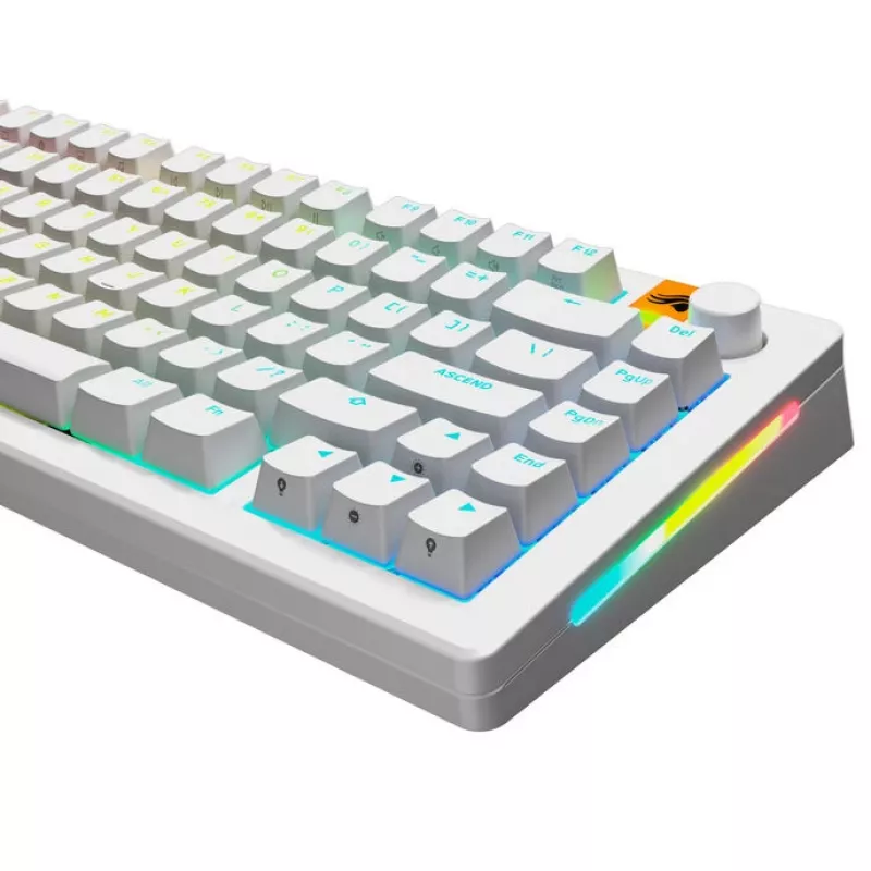 GLORIOUS GPBT Backlit Keycaps — PBT White, ANSI layout
