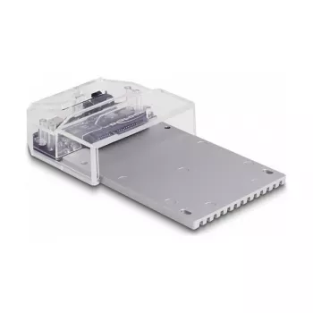 DeLOCK USB Type-C Docking Station for 1 x U.2 SSD Black