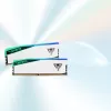 DIMM 48 GB DDR5-6000 (2x 24 GB) Dual-Kit, Memory White, PVER548G60C42KW, Viper Elite 5 RGB, INTEL XMP, AMD EXPO