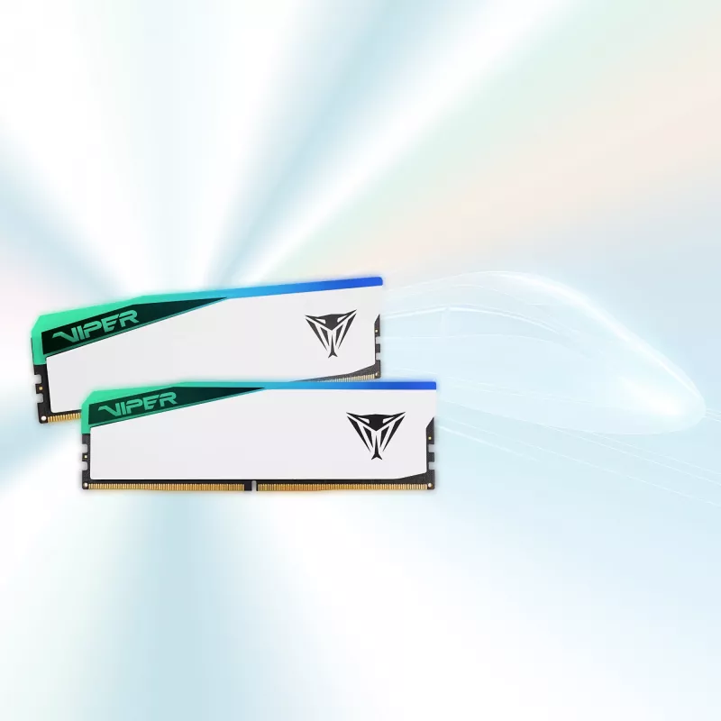DIMM 48 GB DDR5-6000 (2x 24 GB) Dual-Kit, Memory White, PVER548G60C42KW, Viper Elite 5 RGB, INTEL XMP, AMD EXPO