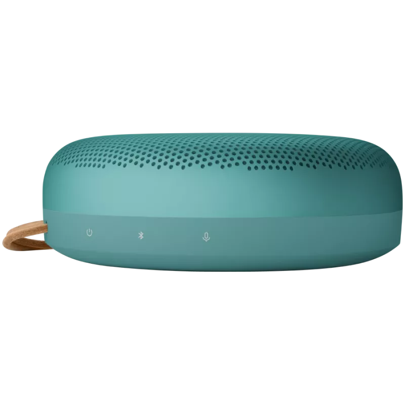 Beosound A1 3rd Gen Eucalyptus Green