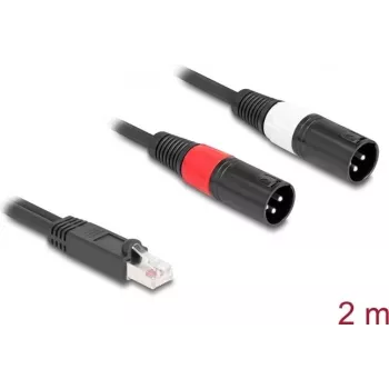 Audio cable DeLOCK 88173 2 m RJ-45 2 x XLR 3-pin Black