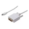 Cable DisplayPort 1.1a mini DP-DVI tyPA MM 2.0m
