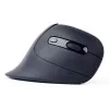 Gembird MUSW-ERGO-03 mouse Home Right-hand RF Wireless Optical 1600 DPI