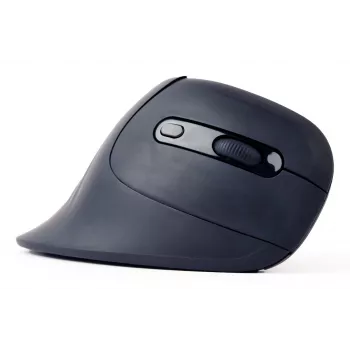 Gembird MUSW-ERGO-03 mouse Home Right-hand RF Wireless Optical 1600 DPI