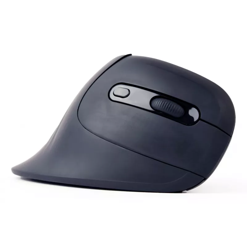 Gembird MUSW-ERGO-03 mouse Home Right-hand RF Wireless Optical 1600 DPI