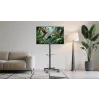 Gembird floor TV stand with caster wheels (tilt) for 32 inch–55 inch, VESA 100x100–400x400, max load 30 kg, black