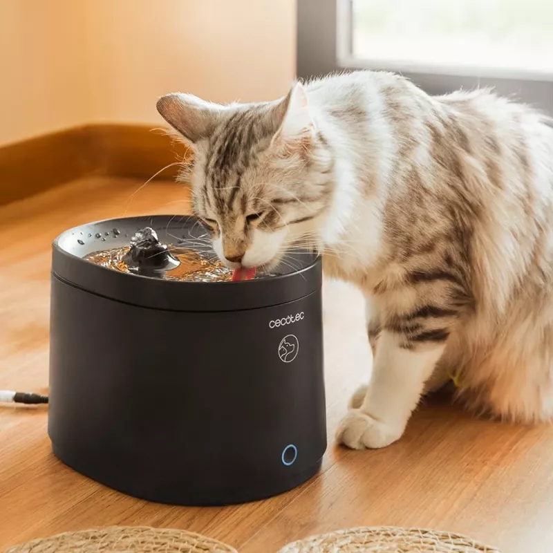 Pet water fountain CECOTEC Pumba 2500 Refresh Smart Pet Fountain, model 9563