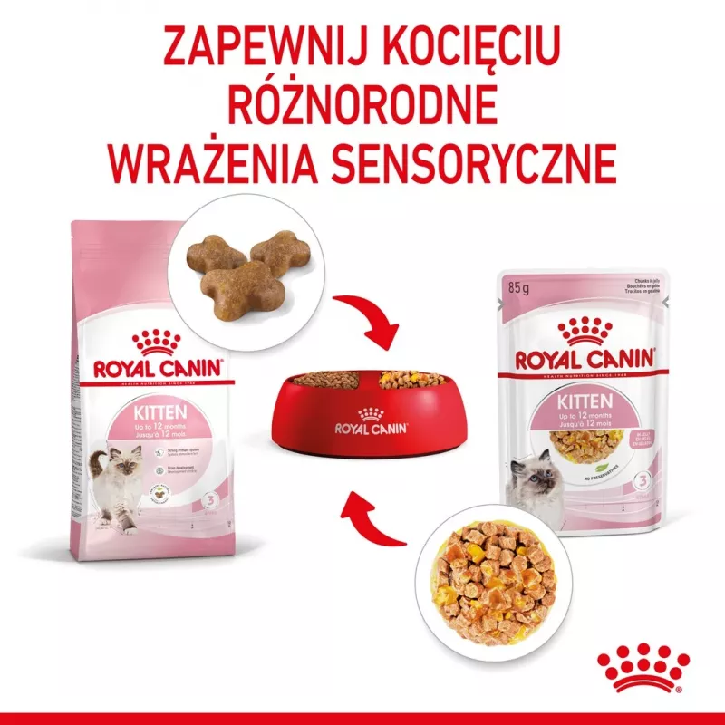Wet cat food Royal Canin Kitten Gravy 85 g — poultry, 78% moisture, 12% protein