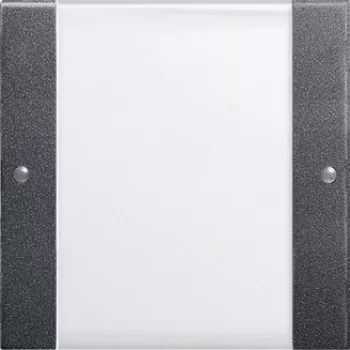 GIRA 213128 Electrical Switch Anthracite - White (213128)