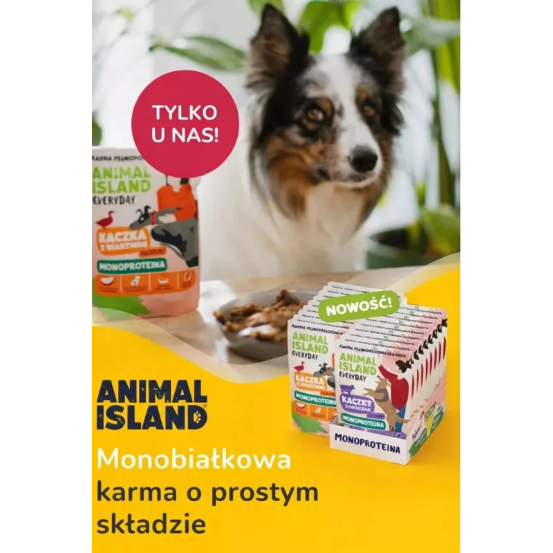 ANIMAL ISLAND Monoprotein veal/duck/turkey dog food 9×300g