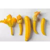 Golden Zucchini Toraf Vegetable Seeds, 5g Package