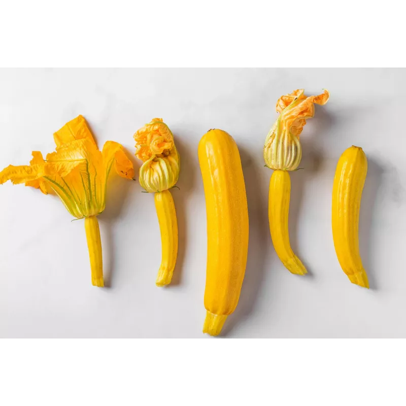 Golden Zucchini Toraf Vegetable Seeds, 5g Package