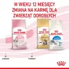 Dry cat food Royal Canin Kitten 2 kg — poultry (chicken) formula, protein 36%, fat 18%
