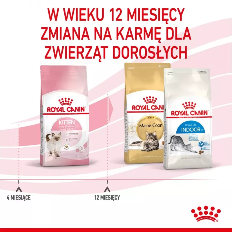Dry cat food Royal Canin Kitten 2 kg — poultry (chicken) formula, protein 36%, fat 18%