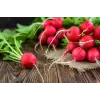 Saxa 3 Radish Seeds, 10g Vegetable Seed Pack