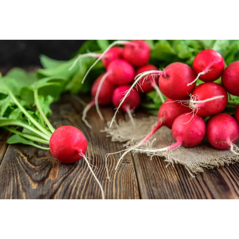 Saxa 3 Radish Seeds, 10g Vegetable Seed Pack