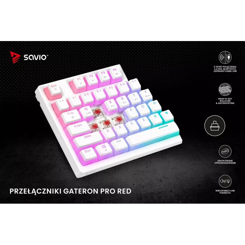 Gaming Keyboard Savio Phenix WHITE GAT RED PUD Wired Wireless USB Bluetooth RGB LED