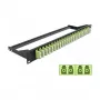 DeLOCK 43404 patch panel 1U Fiber optic LC Green Rack mounting