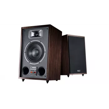Floorstanding speaker Magnat TRANSPULS 800A 2-way wired & wireless 2×60 W, Bluetooth 5.0, HDMI, Black/Brown