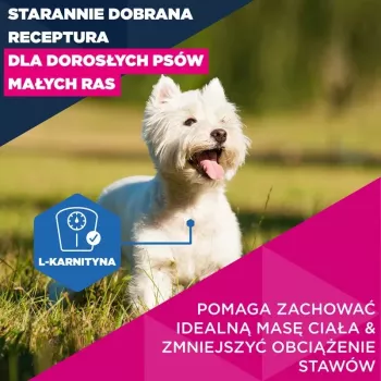 Dry dog food EUKANUBA Mature Small Chicken 3 kg — for adult small-breed dogs