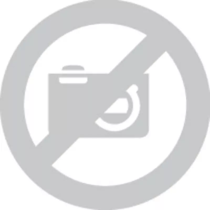 Eltako Electronics Current Limiting Relay capacitive SBR12 (22100430)