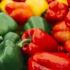 Seed mix Seklos LT PNOS — Sweet Pepper seeds, packet 0.6 g