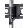 STD01 Stand for the Screen 32-55'' VESA 75X75/600-400'' 80KG