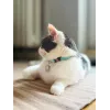 ZOLUX Chatouille blue - cat collar