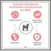 PUPIL Premium All Meat Gold Duck - wet dog food - 800g
