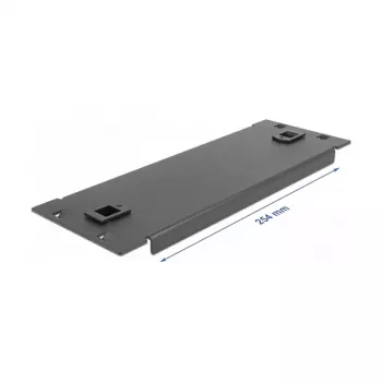 Blind panel DeLOCK 10 inch Network Cabinet 66578