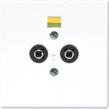 Socket-outlet JUNG LS 965-2 WW