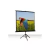 Celexon Economy 1:1 Tripod Screen 184 x 184 (1090016)