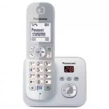 DECT telephone Panasonic KX-TG6821GS