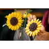 LEGO BOTANICALS 11502 Sunflower Bouquet